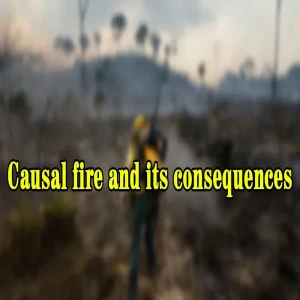 Causal fire and its consequences